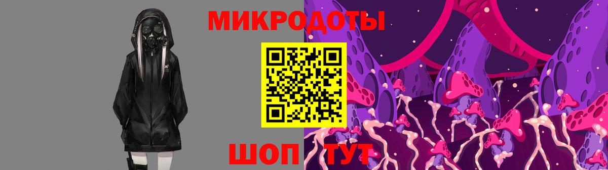 Галлюциногенные грибы Cubensis  Вход с VPN  Псилоцибиновые грибы прущие грибы  Павлово 